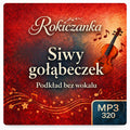 Siwy gołąbeczek – Rokiczanka, podkład karaoke MP3 bez wokalu